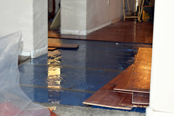 Professional Burst Pipe Cleanup technician working in Palatine, IL